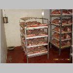 Italien2008 0208.JPG